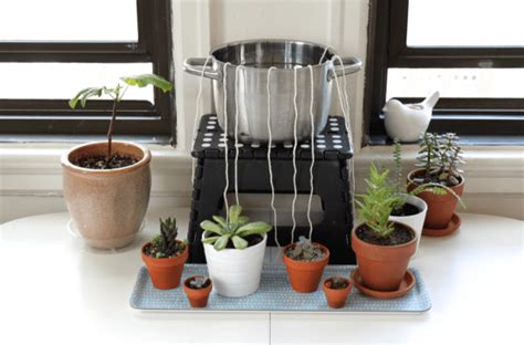 Diy Self Watering System For Houseplants — Info You Should Know