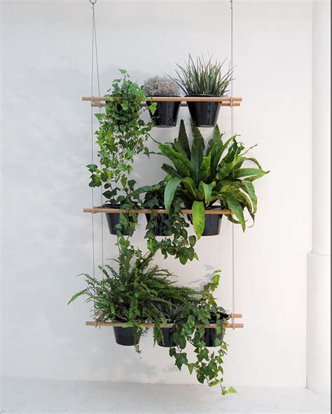 Create a stunning foliage focal point by hanging indoor plants from your ceiling. Living Small: A Hanging Window Box Planter - Gardenista