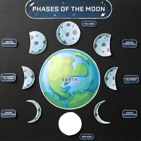 Teach Your Students About The Phases Of The Moon With This Fun And