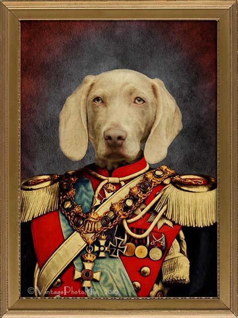 Custom Pet Portrait Digitalyour Pet In Military Uniformpet Portraits
