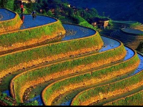 Banaue Rice Terraces In Ifugao Stairway To Heaven Philippines 02