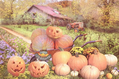 Pumpkins At Grandpas Barn In Country Colors Photograph By Debra And