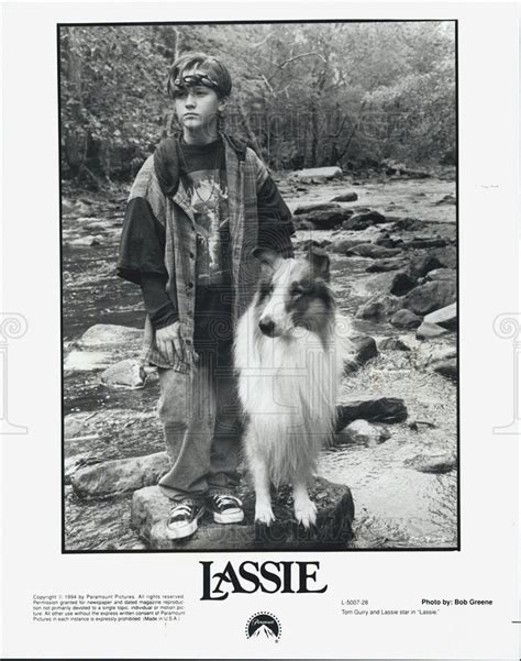 Lassie Movie With Collie Dog Tom Guiry 1994 Vintage Promo Photo Print