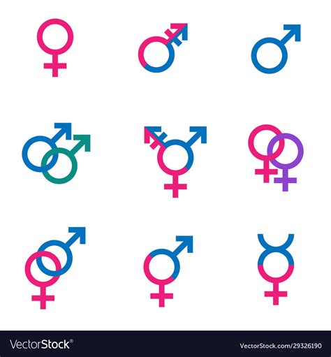 gender symbol set sexual orientation icons male vector image