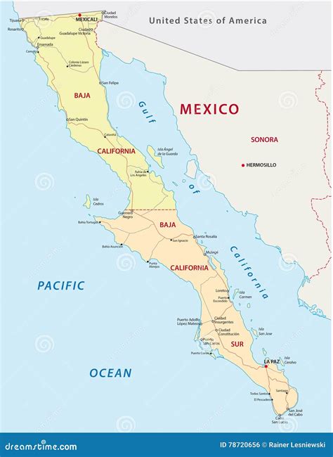 Baja California Road And Administrative Map Stock Vector Illustration