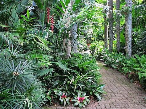 30 Amazing And Beautiful Tropical Garden Ideas Jungle Gardens