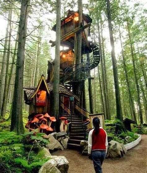 Shades Of Lothlorien A Multi Story Treehouse A Log Cabin In The
