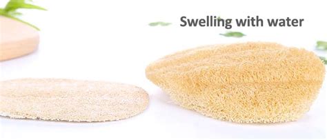 Biodegradable Natural Loofah For Bathing