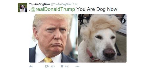 You Are Dog Now Twitter Account Will Match You With Your Canine Look
