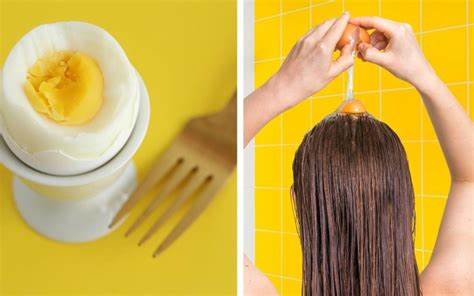 How Eggs Prevent Hair Loss And Aid Hair Growth

