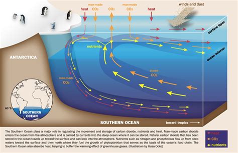 Secrets Of The Southern Ocean Discovery Research At Princeton