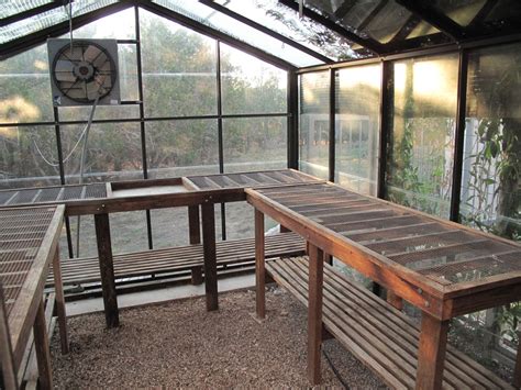 Room to maneuver other plants and yourself around the greenhouse without damaging plants. ROCK ROSE: TONIGHT'S THE NIGHT