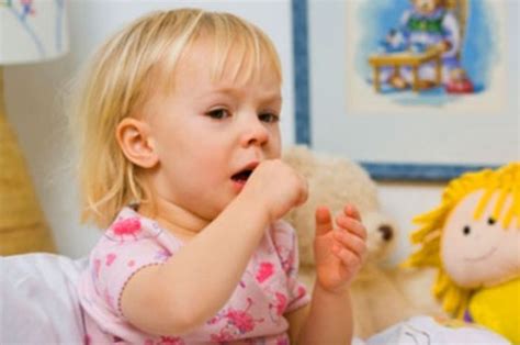 Gerd, asma, sinus, infeksi saluran pernapasan bisa menjadi penyebab kamu mengalami batuk yang terus menerus di malam hari. 4 Cara Alami Mengatasi Batuk Kering Pada Anak Nakita Id