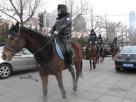 Dalians Mounted Policewomen In Full Leather Uniform Horses Leather