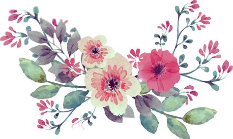 Transparent Watercolor Flowers Meu Alef