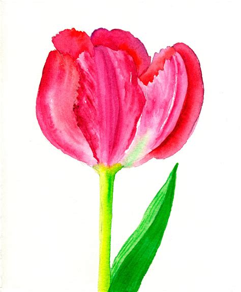 Red Tulips Two Art Fine Art Print Original Watercolor Floral Etsy