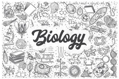 Hand Drawn Biology Doodle Set Lettering Biology Biology Drawing