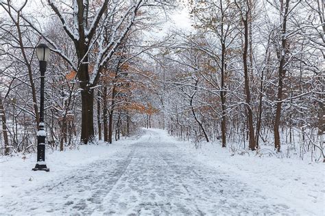 When Autumn Meets Winter Photograph By Valeriy Shvetsov