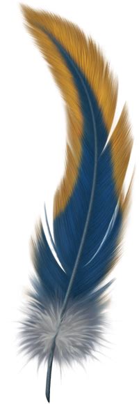 Feather PNG Transparent HD images FREE download. png image