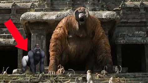 É Por Isso Que O Gigantopithecus é 100 Vezes Mais Perigoso Que O Gorila