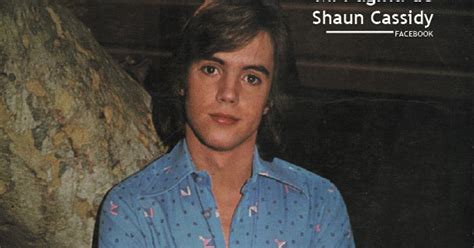 mi página de shaun cassidy shaun cassidy recargado en un Árbol