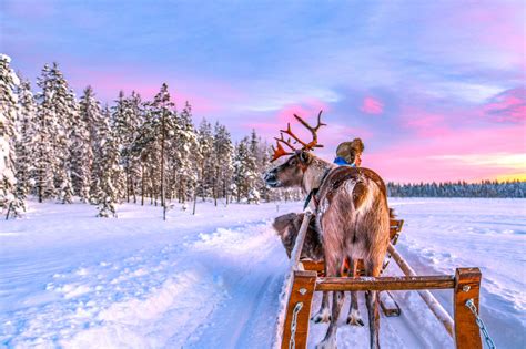 Incredible Things To Do In Rovaniemi Finnish Lapland