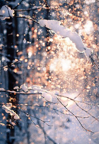 Perfect Winter Day Winter Szenen I Love Winter Winter Magic Winter