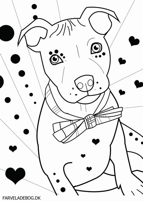 Blue Nose Pitbull Coloring Pages Coloring Pages