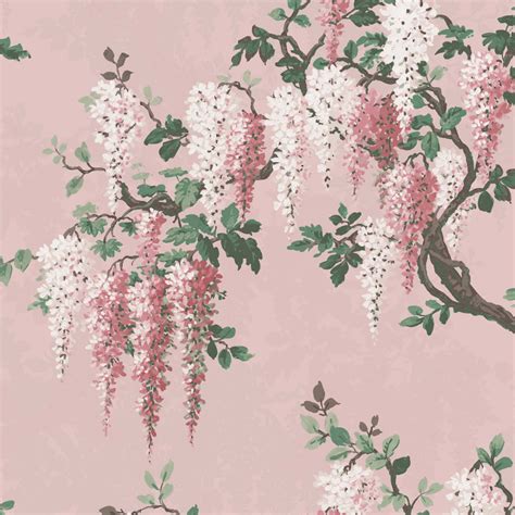 Wisteria In Pink Bloom Floral Wallpaper By Woodchip And Magnolia