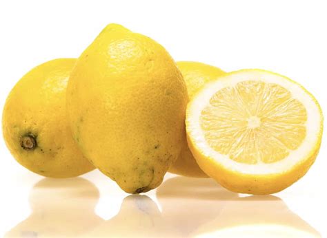 20 Varieties and Types of Lemons from All Over the World - MORFLORA