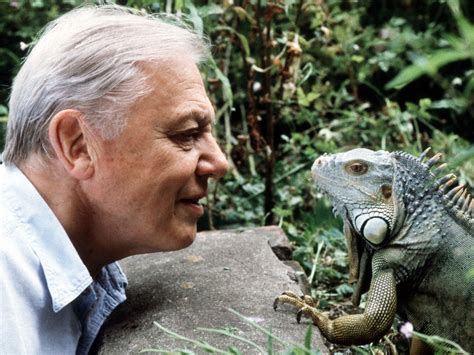 Sir David Attenborough On Donald Trump We Could Shoot Him Its Not A