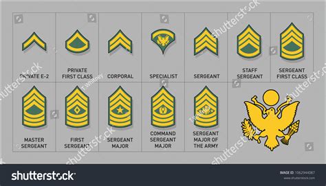 Military Rank United States Army Enlisted Rank Insignia Sergeant Png