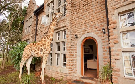 Giraffe Manor Hotel Review Nairobi Kenya Travel