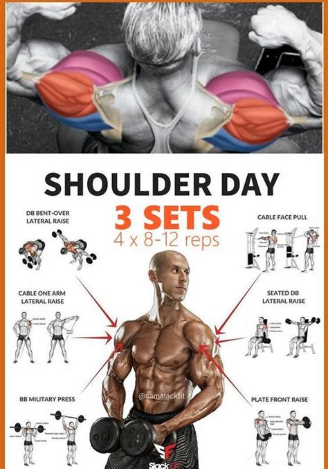 Double Phase Shoulder Width And Growth Workout Plan Shoulder Workouts For Men Shoulder