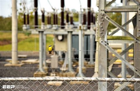 The Essentials Of Substations Electrical Equipment And Busbar