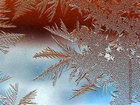 Ice Flowers Window Frost Crystals