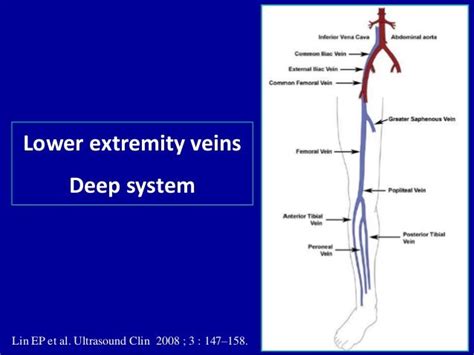 Doppler Ultrasound In Deep Vein Thrombosis