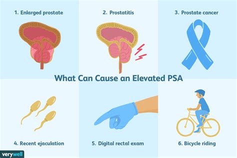 Psa Test Uses Side Effects Procedure Results