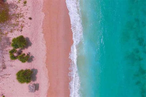 The 8 Best Pink Sand Beaches In The Caribbean Addicted To Vacation