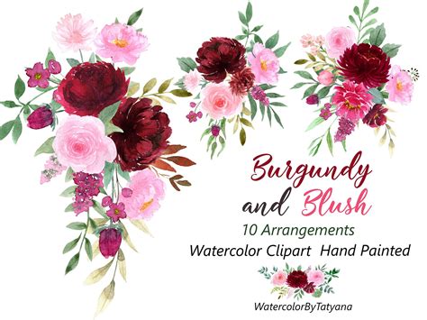 Bordeaux And Blush Watercolor Floral Clipart Burgundy Etsy