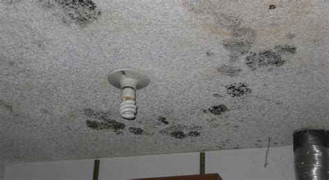 Black Spots On The Bathroom Ceiling Md Restoration