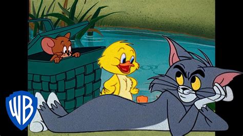 Tom And Jerry Getting Ready For Spring Classic Cartoon Compilation