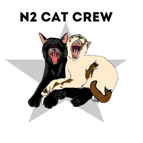 N2 Cat Crew Youtube