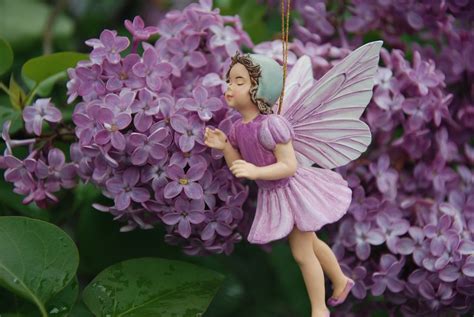 Lilac Fairie Flower Fairies Fairy Garden Lilac