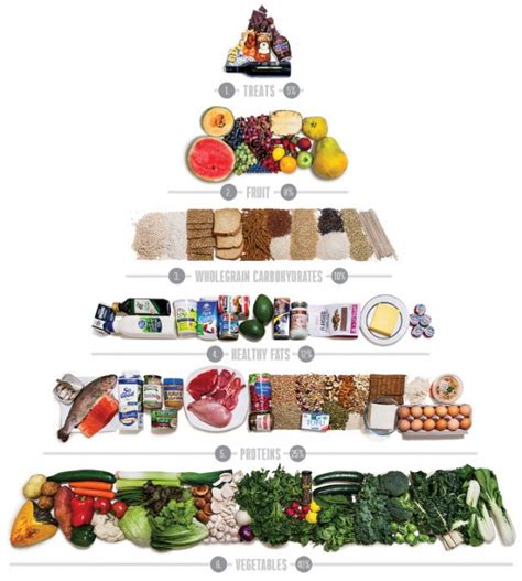 Comparing the old food pyramid to the new one can be the first step to understanding what the body needs and how to stay lean. A new food pyramid makes sense - Jane Barnes Nutritionist