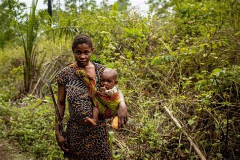Les pygmées akas de Centrafrique entre médecines traditionnelle et moderne La République des