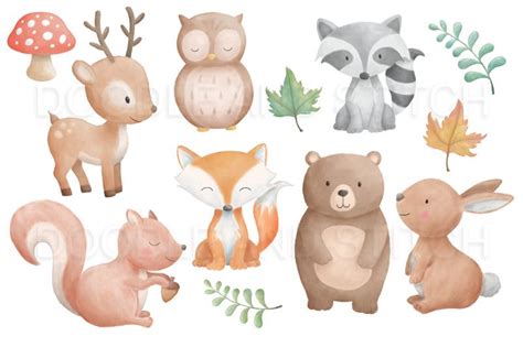 Woodland Animal Watercolor Illustrations By Doodle Art Thehungryjpeg