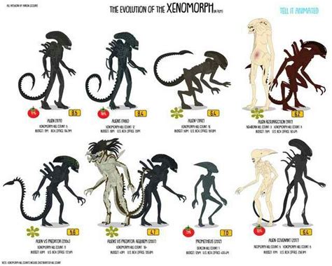 Evolution Of Alien Xenomorph Size Comparison
