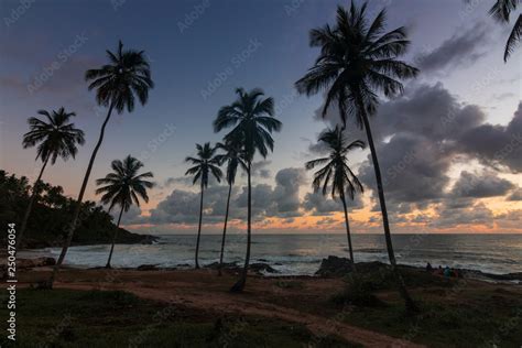 Beautiful Sunrise In Itacaré Bahia Brazil With Silhouettes Of Coconut