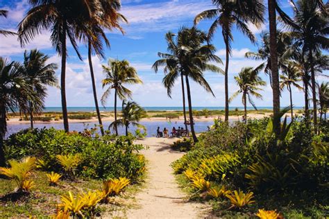 Bahia synonyms, bahia pronunciation, bahia translation, english dictionary definition of bahia. Piracanga - Life in an Ecovillage - Good Things Everywhere